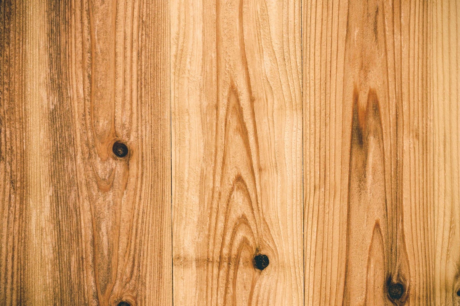 Ash wood grain close-up