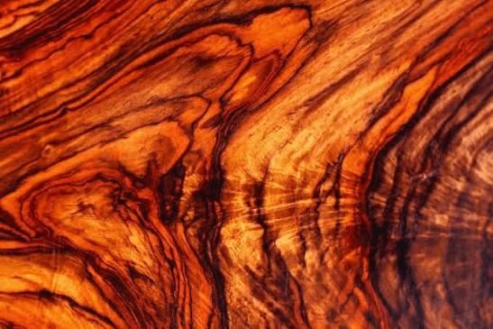 Cocobolo wood grain close-up