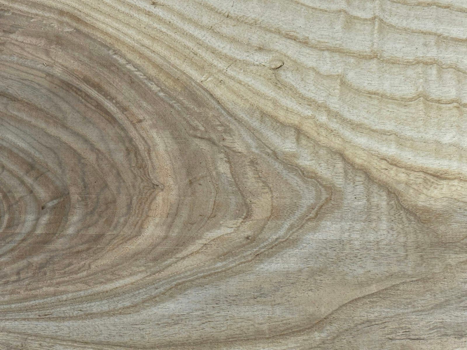 Hard Rock Maple wood grain close-up