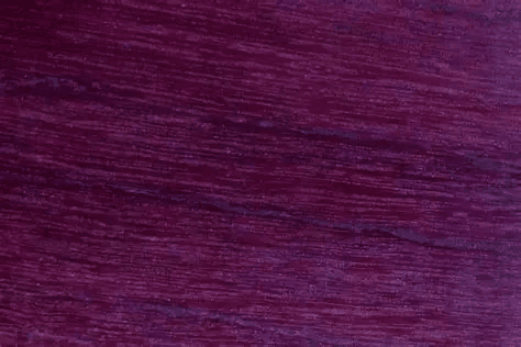 Purpleheart wood grain close-up