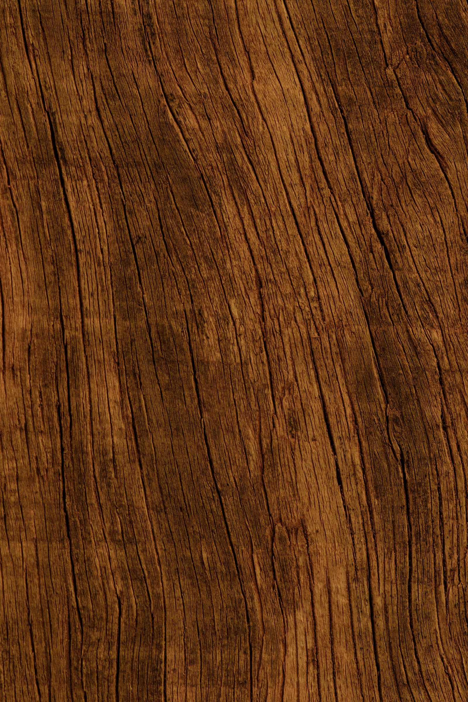 Rosewood wood grain close-up