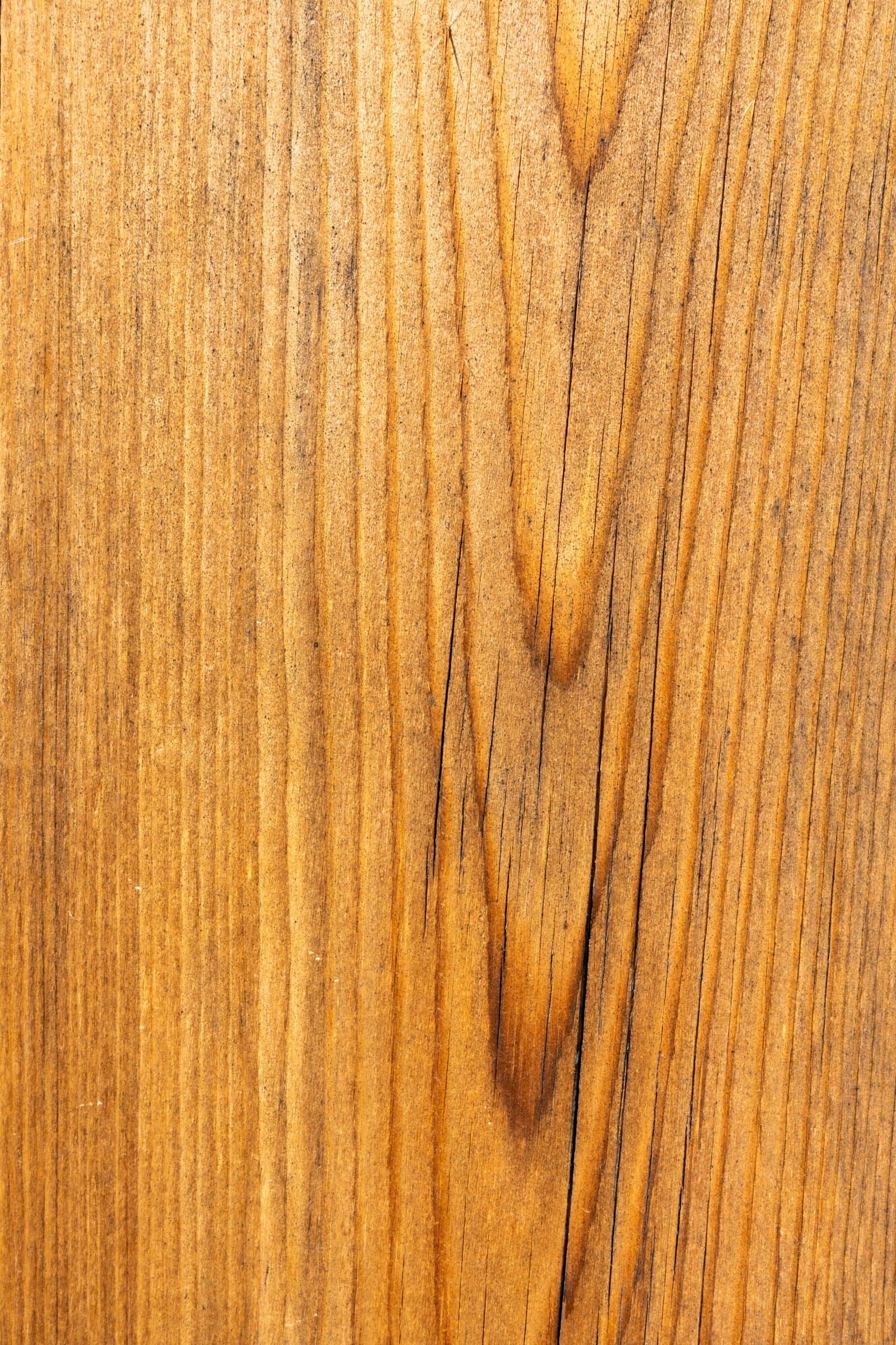 Teak wood grain close-up